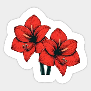 Two Amaryllis Red Flowers Sticker